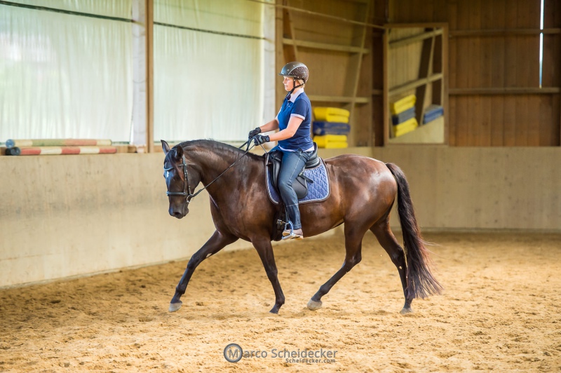 Desmond O'Brien - Reitkurs 2022