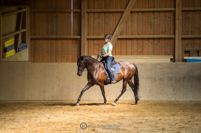 Desmond O'Brien - Reitkurs 2022