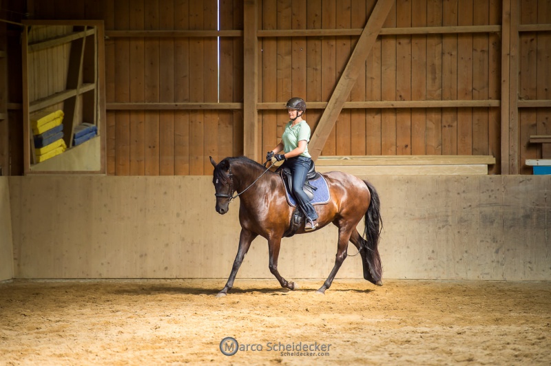 Desmond O'Brien - Reitkurs 2022