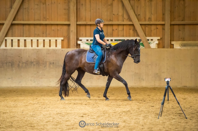 Desmond O'Brien - Reitkurs 2022