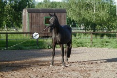 Ronja 2000-2002