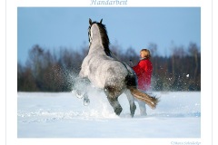 Ronja 2005