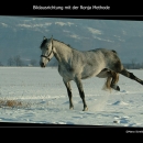 Ronja 2005