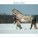 Ronja 2005