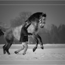 Ronja 2005