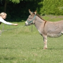 Ronja 2005