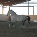 Ronja 2006