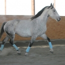 Ronja 2006