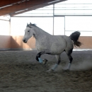 Ronja 2006