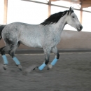 Ronja 2006