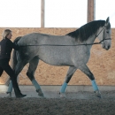Ronja 2006