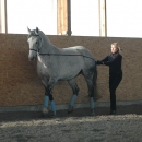 Ronja 2006