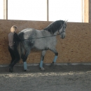 Ronja 2006