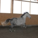 Ronja 2006
