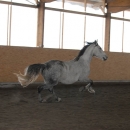 Ronja 2006