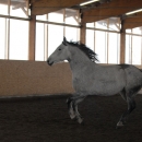 Ronja 2006