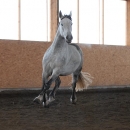 Ronja 2006