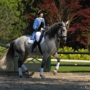 Ronja 2006