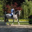 Ronja 2006