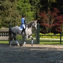 Ronja 2006