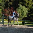 Ronja 2006