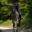 Ronja 2006