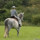 Ronja 2006