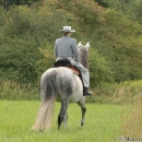 Ronja 2006