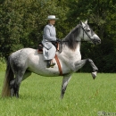 Ronja 2006