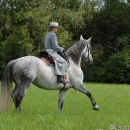 Ronja 2006