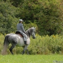 Ronja 2006