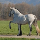 Ronja 2006