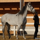 Ronja 2006