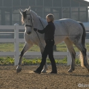 Ronja 2006