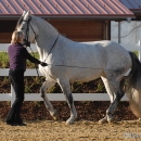 Ronja 2006
