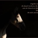 Ronja 2006