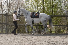 Ronja 2008