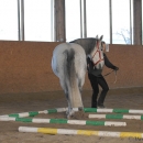 Ronja 2008