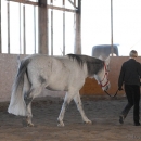 Ronja 2008