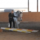 Ronja 2008