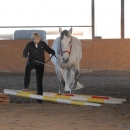 Ronja 2008
