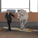 Ronja 2008