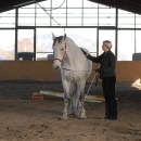 Ronja 2008
