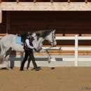 Ronja 2008