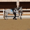 Ronja 2008