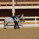 Ronja 2008