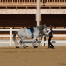 Ronja 2008