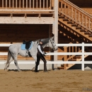 Ronja 2008