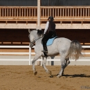 Ronja 2008