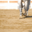 Ronja 2008